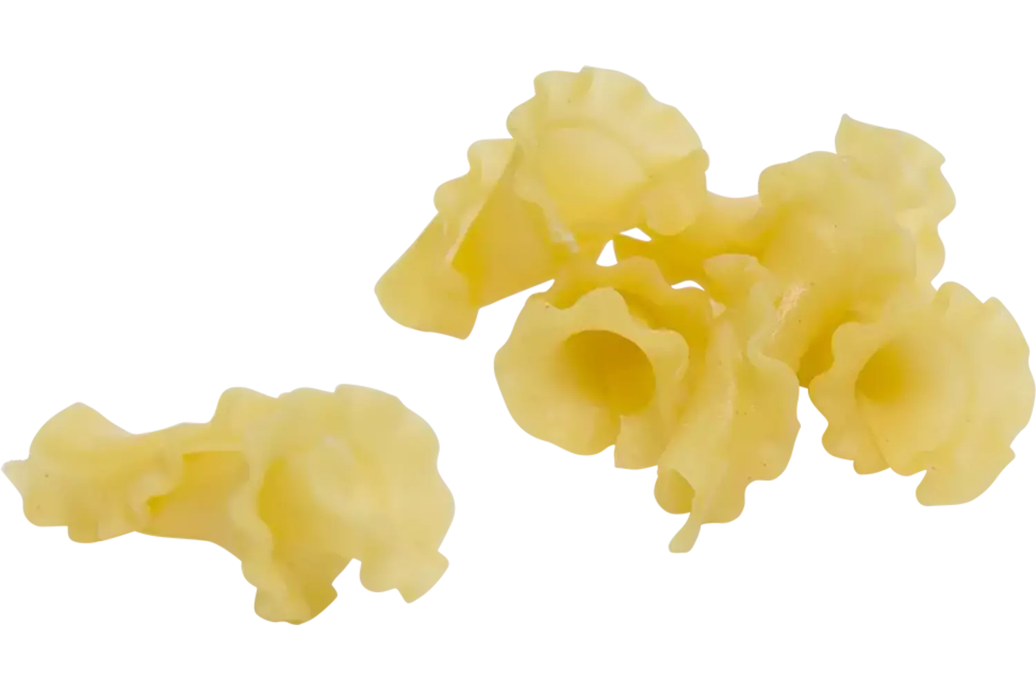 Pasta girolle 1kg stuk 1